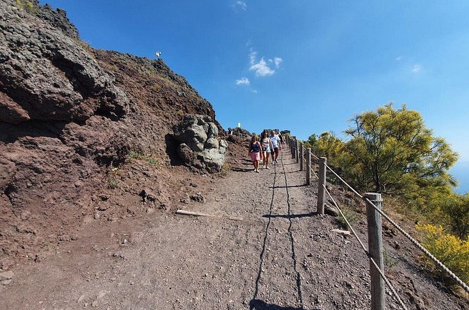 Herculaneum & Vesuvius Private Shore Excursion - Is $558.93 per person a fair price?