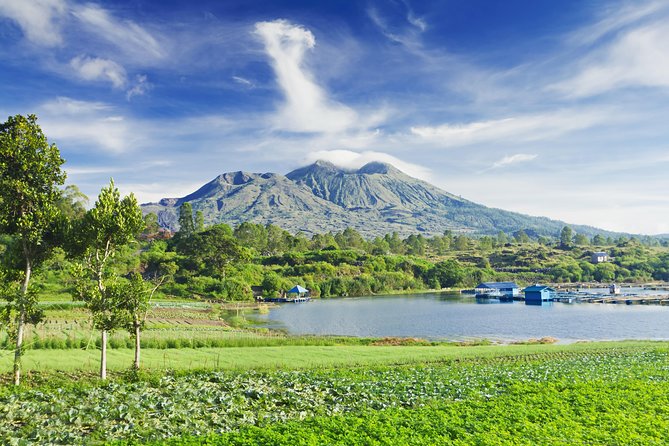 Highlights of Ubud & Mount Batur Volcano - Private Day Trip - Tegalalang Rice Terrace: a short walk through Bali’s farming country