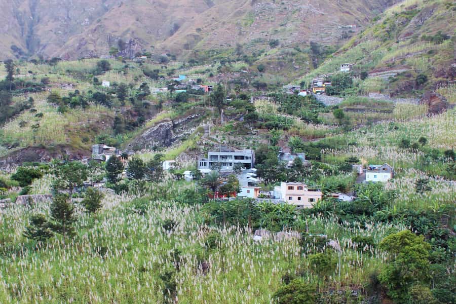 Hike from the Cova Volcano Crater to Ribeira Paúl - The traditional distillery and a taste of grogue