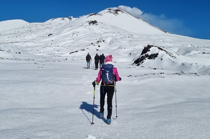 Hike near the summit craters up to the maximum safe altitude currently foreseen - Fumaroles, lava channels, and the South-East Crater