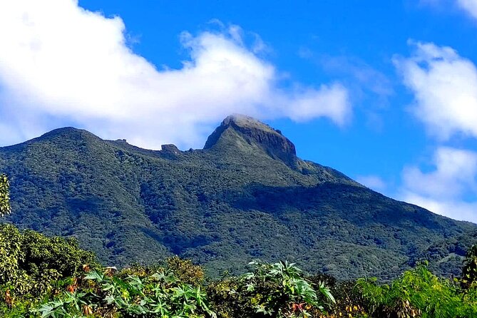Hike St. Kitts: Highest peak Mount Liamuiga Volcano - Reaching the crater rim and high point