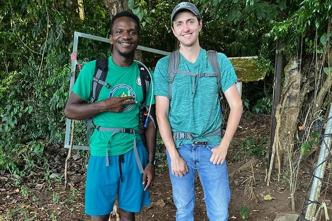 Hike St. Kitts: Highest peak Mount Liamuiga Volcano - Who should book this St. Kitts volcano hike?