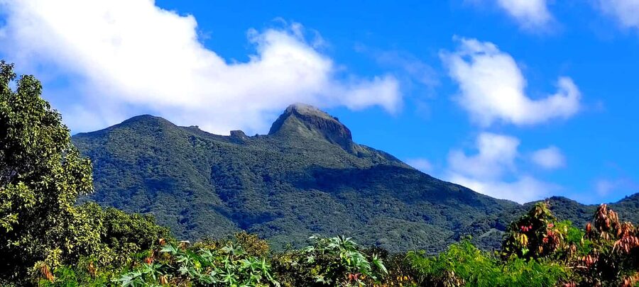 Hike St. Kitts: Highest peak Mount Liamuiga Volcano - Who should book this Mount Liamuiga hike?