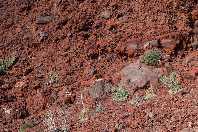 Hiking activity through the volcanic land of wonder - Stavros and the volcanic path