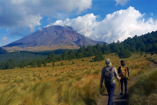 Hiking in Iztaccihuatl Volcano - Walking through pine, oak, and oyamel forest