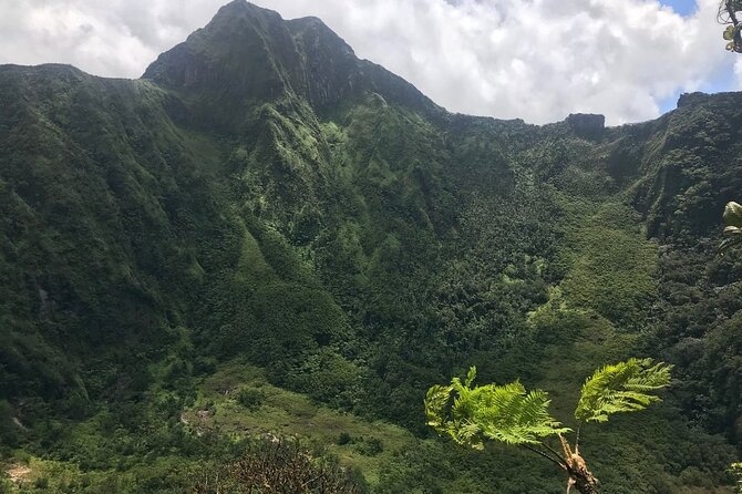 Hiking Mount Liamuiga Volcano in St Kitts - From St Kitts villages to the foot of the volcano