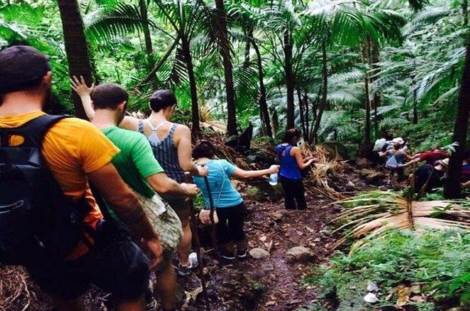 Hiking Mount Liamuiga Volcano in St Kitts - The summit view rewards the hard work