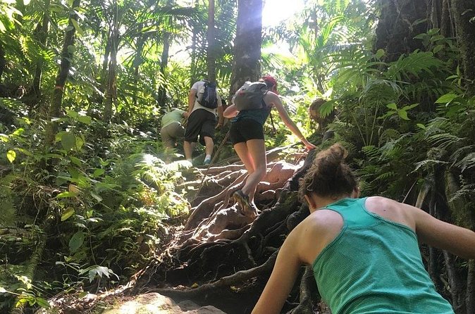 Hiking Mount Liamuiga Volcano in St Kitts - Who should book this hike?