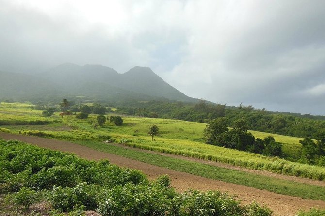 Hiking Mount Liamuiga Volcano in St Kitts - The rainforest route is the main event