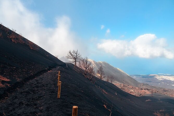 Hiking Route Visit to the New Volcano of La Palma - What the guides add to the morning
