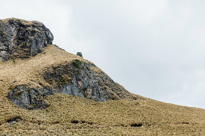 Hiking Tour on the Iztaccíhuatl Volcano from Puebla - Guides, safety, and the value of a private group