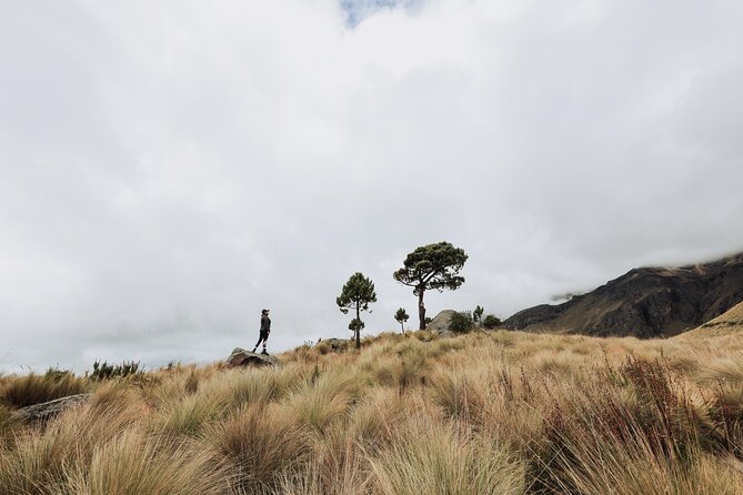 Hiking Tour on the Iztaccíhuatl Volcano from Puebla - Is $126 a fair price?