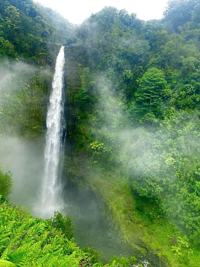 Hilo: Akaka Falls, Volcanoes, and Onomea Bay Guided Tour - Key points at a glance