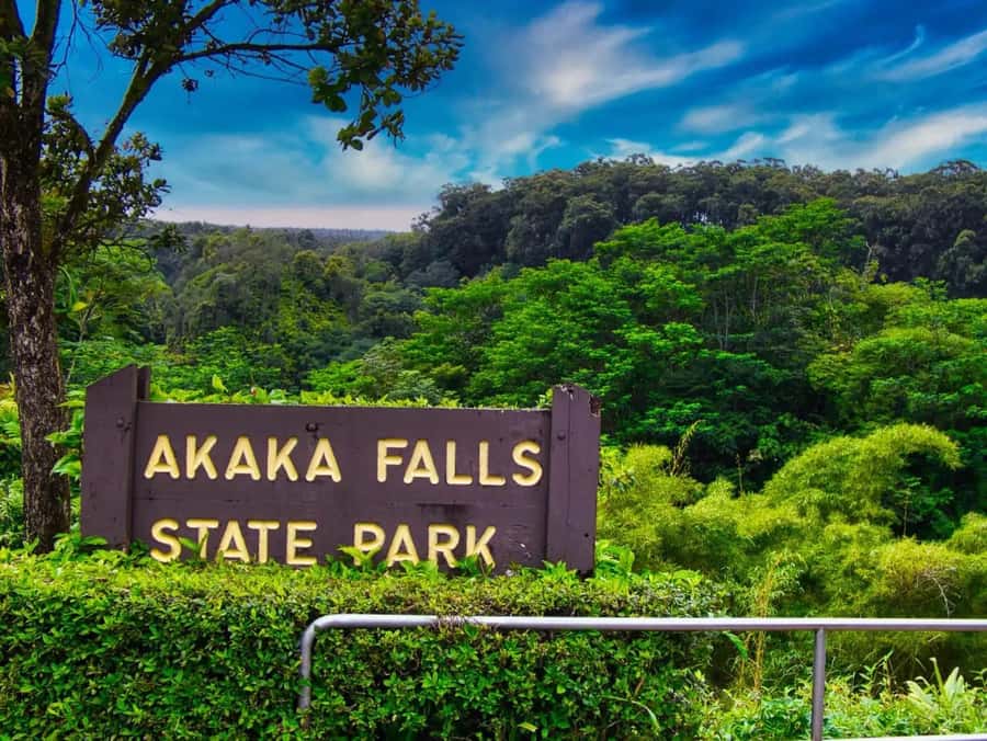Hilo: Akaka Falls, Volcanoes, and Onomea Bay Guided Tour - Why this Hilo day works so well