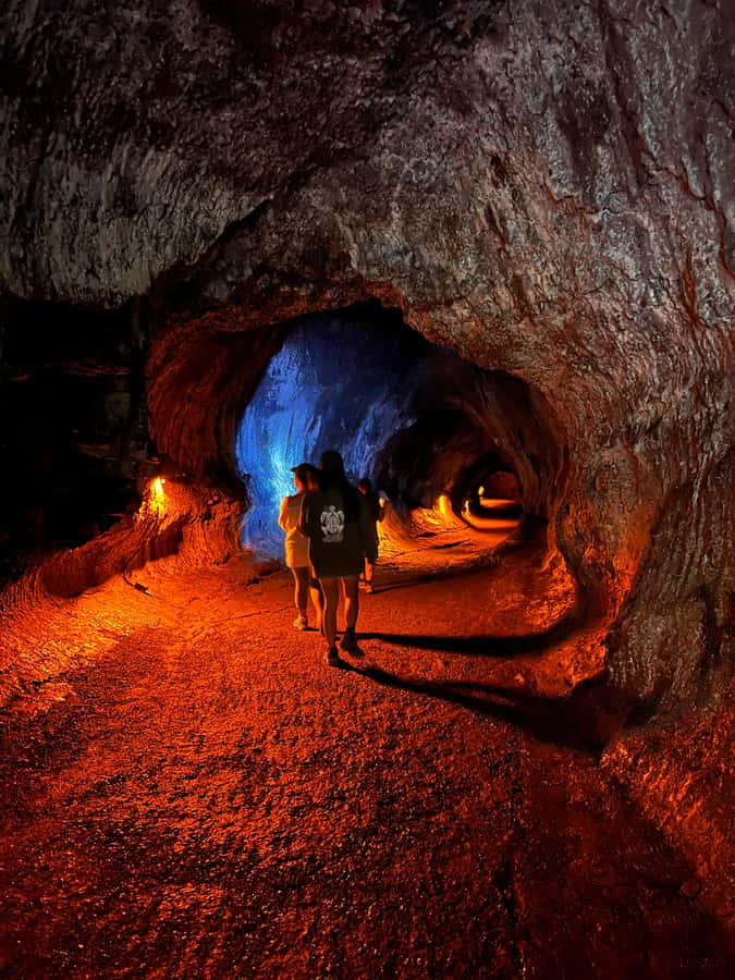 Hilo: Akaka Falls, Volcanoes, and Onomea Bay Guided Tour - Onomea Bay’s four-mile coastal route