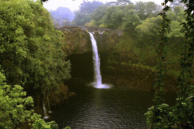 Hilo and Volcano National Park Tour for Cruise Passengers at port - Rainbow Falls and a practical lunch stop