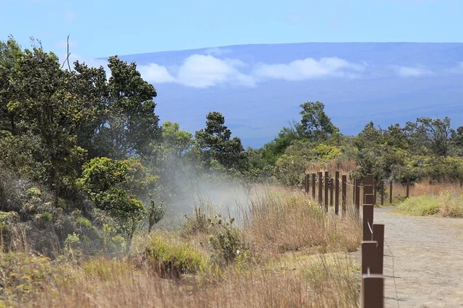 Hilo Cruise Ship Excursion: Volcanoes National Park Rainbow Falls - Steam vents let you feel Kīlauea’s heat