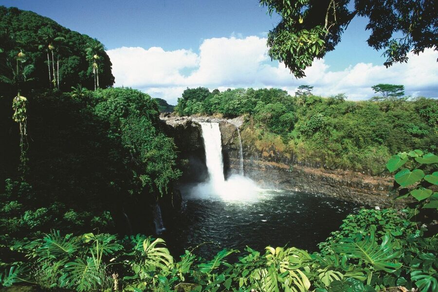 Hilo Cruise Ship Excursion: Volcanoes National Park Rainbow Falls - The guides are the best part of the experience