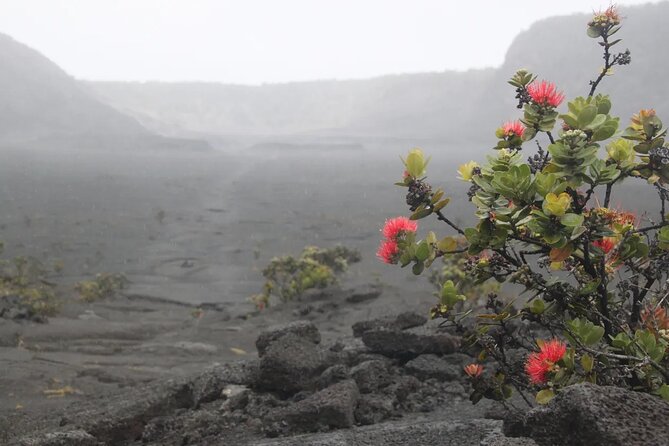 Hilo Cruise Ship Excursion: Volcanoes National Park Rainbow Falls - Transport, group size, and comfort