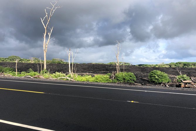 Hilo Shore Excursion: Volcano Safari Lava Caves & Black Sand - Lava Tree State Park and its strange tree molds