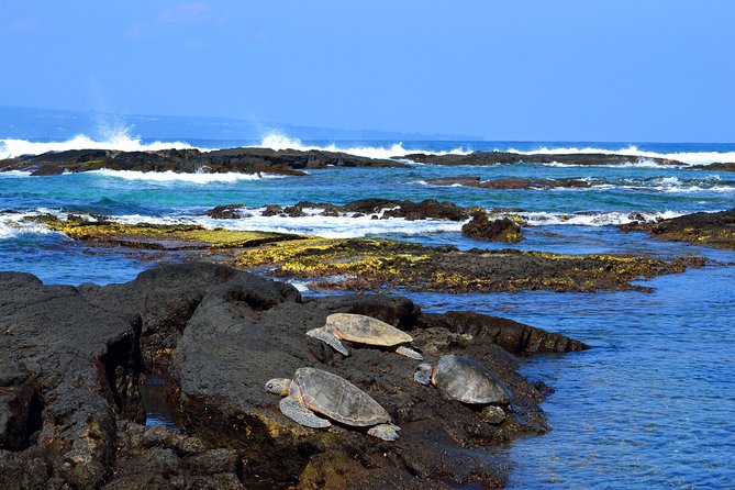 Hilo Shore Excursion: Volcanoes National Park & Black Sand Beach - Hilo’s opening sights and the route change after June 2026