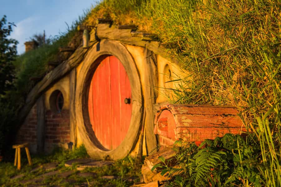Hobbiton Movie Set & Te Puia Geothermal Valley Private Tour - Kiwi viewing at Nga Manu Ahurei