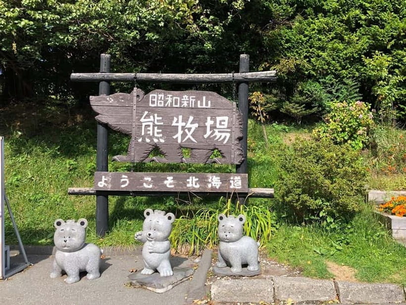 Hokkaido Tour:Sapporo to Noboribetsu, Lake Toya,Ice Festival - Showa-Shinzan is the tour’s most unusual volcano stop