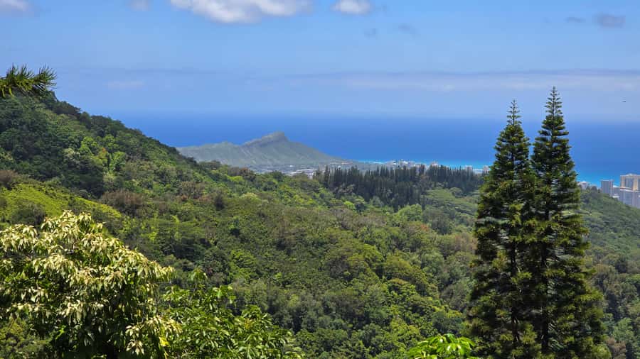 Honolulu: Hawaiian Volcanic Rainforest Hike - Viewpoints from Konahuanui to the Pacific