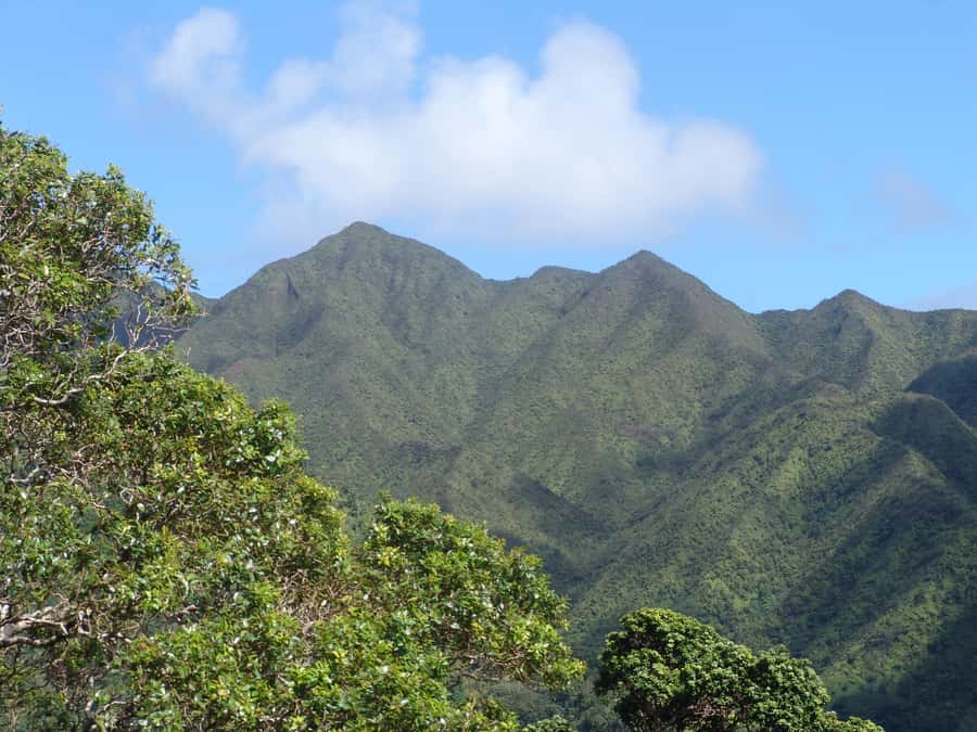 Honolulu: Hawaiian Volcanic Rainforest Hike - Is the $90 price fair?