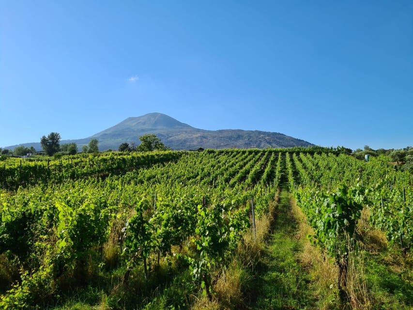 Horse Riding Experience on Vesuvius w/ Wine Tasting - From the Stables to a Vesuvius Wine Estate