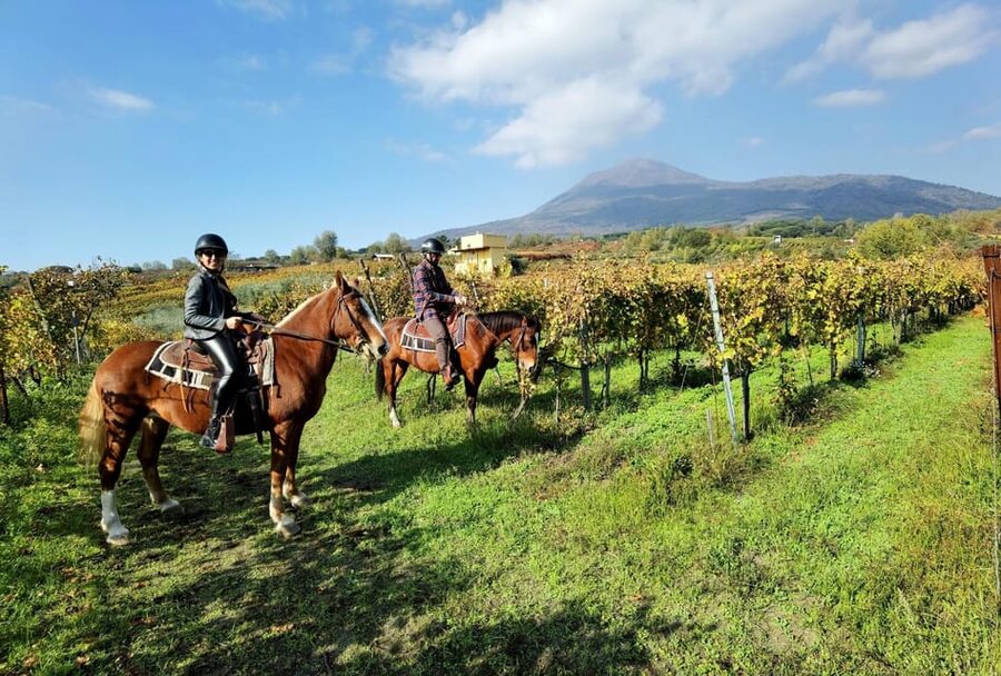 Horse Riding Experience on Vesuvius w/ Wine Tasting - One Hour Through the Vesuvius Vineyards
