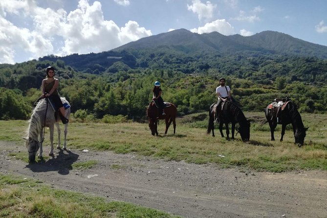 Horse Riding on Mount Vesuvius - A gentle introduction at the Vesuvius ranch