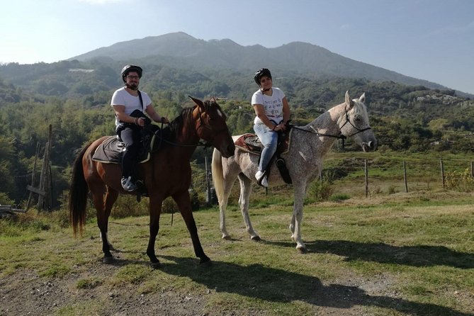 Horse Riding on Mount Vesuvius - Returning to the ranch and meeting the horses properly