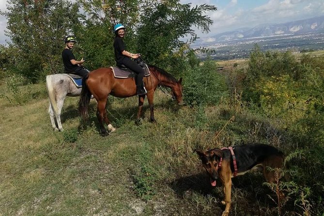Horse Riding on Mount Vesuvius - Is $84.48 good value?