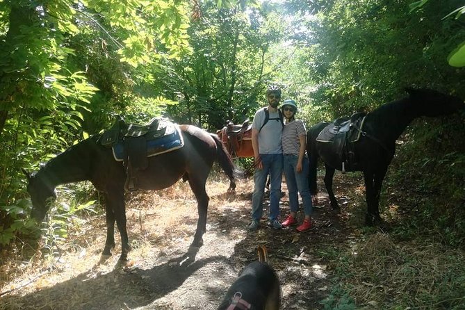Horse Riding on Mount Vesuvius - One hour through Vesuvius National Park