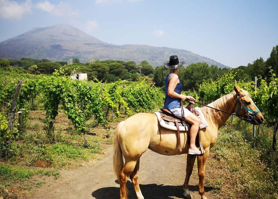Horseback Ride on Mt. Vesuvius - Weather, cancellations, and group size