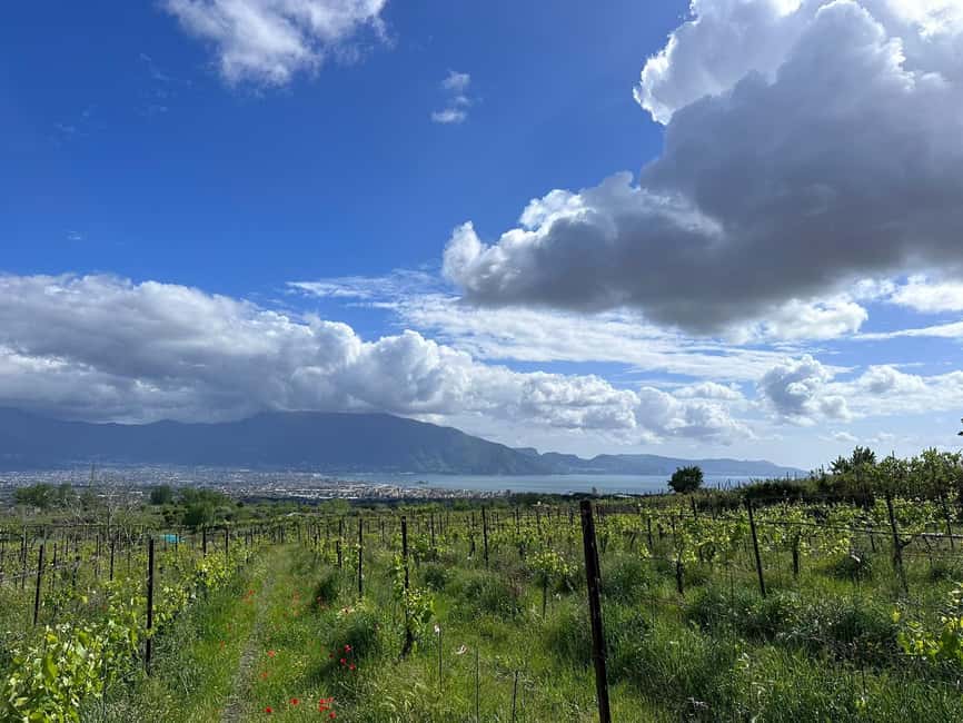 Horseback Ride on Mt. Vesuvius - Why ride Vesuvius instead of hiking to the crater?
