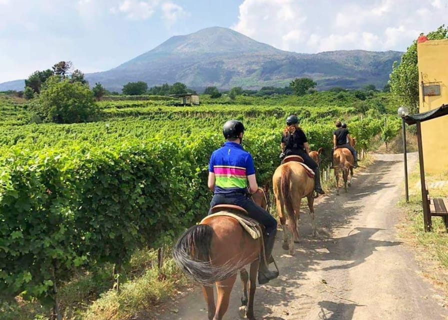 Horseback Ride on Mt. Vesuvius - Who will enjoy this most?
