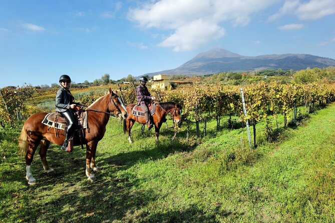 Horseback Riding on Mt. Vesuvius with Wine Tasting and Dinner - Key points to know before booking