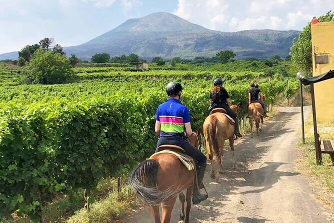 Horseback Riding on Mt. Vesuvius with Wine Tasting and Dinner - The dinner and wine tasting afterward