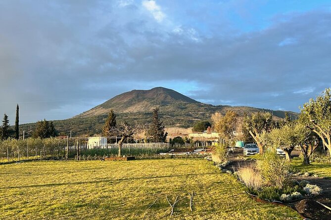 Horseback Riding on Mt. Vesuvius with Wine Tasting and Dinner - The views toward Sorrento and Capri