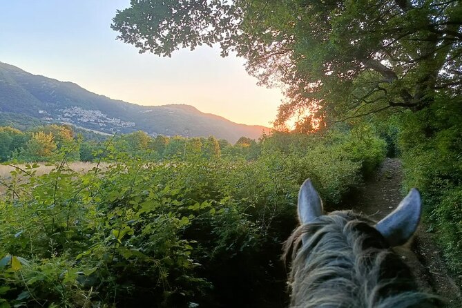 Horseback Riding on Mt. Vesuvius with Wine Tasting and Dinner - Price, group size, and overall value