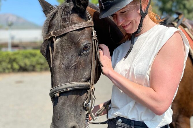 Horseback Riding on Mt. Vesuvius with Wine Tasting and Dinner - Who should book this Vesuvius experience