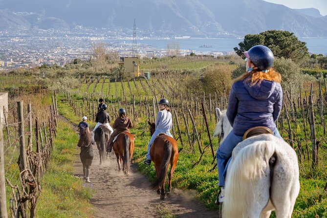 Horseback Riding on Mt. Vesuvius with Wine Tasting and Dinner - Starting at Via Plinio 46 in Pompeii