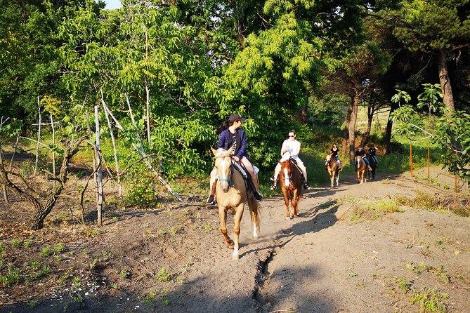 Horseback Riding on Vesuvius - One hour through vineyards and volcanic countryside