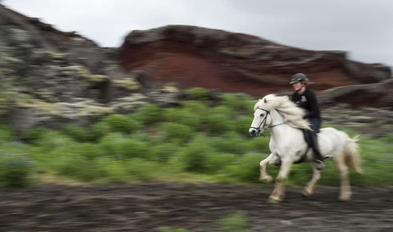 Iceland: Volcanic Landscape Horse Riding Tour - Key points at a glance