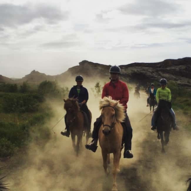 Iceland: Volcanic Landscape Horse Riding Tour - Local stories, horse care, and free photographs