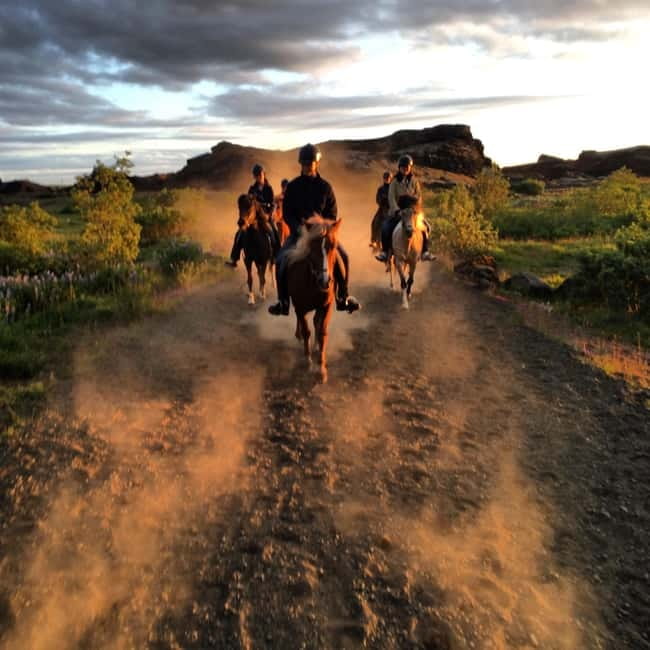 Iceland: Volcanic Landscape Horse Riding Tour - How the small group changes the ride