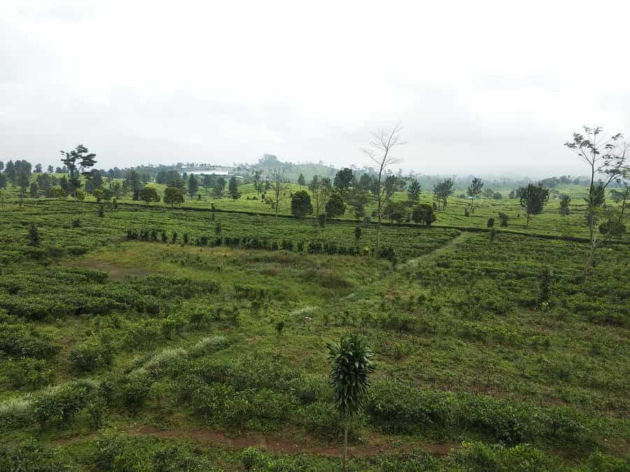 Jakarta: Active Volcano, Waterfall &beautiful local village - The 2.7-kilometer walk to Cibareubeuy