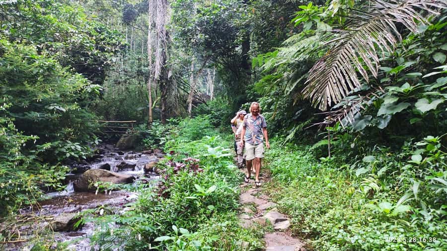 Jakarta: Active Volcano, Waterfall &beautiful local village - Optional Luwak coffee farm